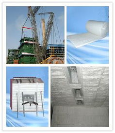 正火爐耐火材料耐火毯硅酸鋁陶瓷纖維模塊施工,正火爐耐火材料耐火毯硅酸鋁陶瓷纖維模塊施工生產(chǎn)廠家,正火爐耐火材料耐火毯硅酸鋁陶瓷纖維模塊施工價格