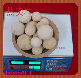 河南廠家直銷優質耐火球 60直徑耐火球 生產批發